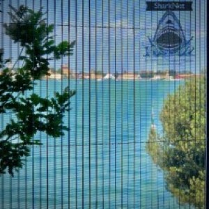 sharknet_300x300
